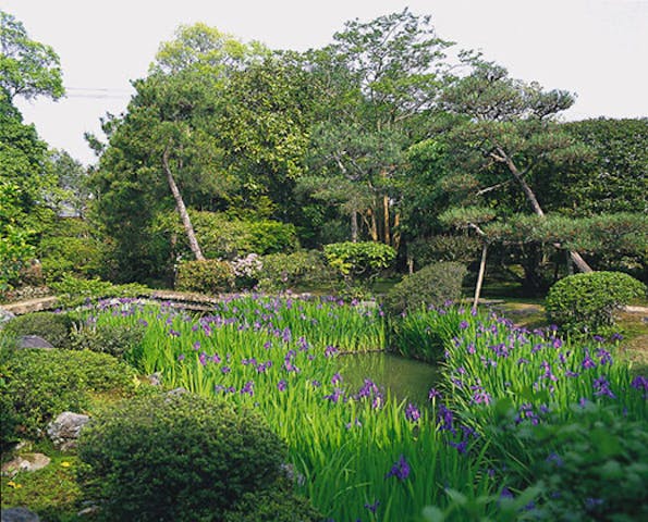 法華寺庭園(名勝庭園・華楽園）