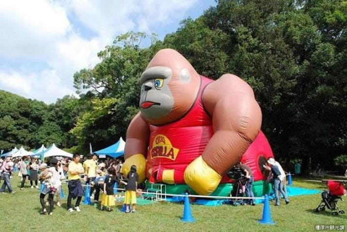 橿原夢の森フェスティバル