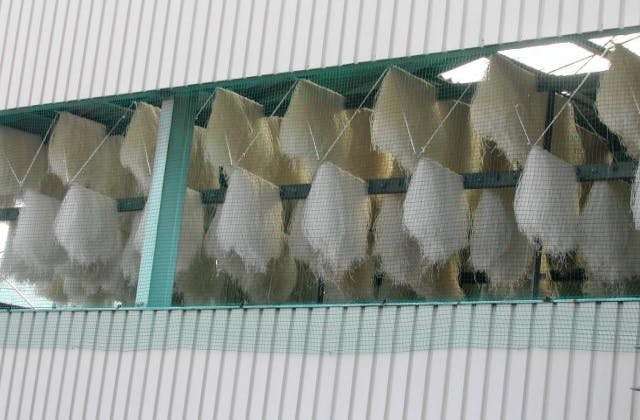 スポットの写真