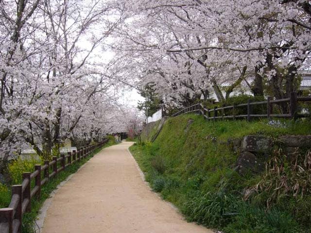 民俗資料館（長屋門）