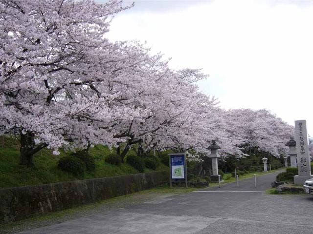 辯天宗総本山如意寺