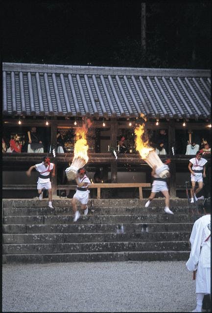 スポットの写真