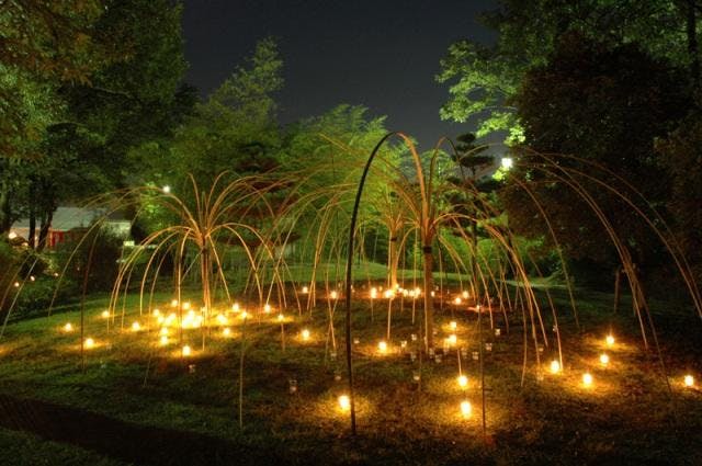 スポットの写真