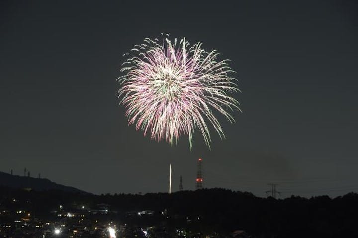 【2020年中止】いこまどんどこまつり