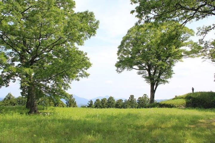 松山城（秋山城）跡