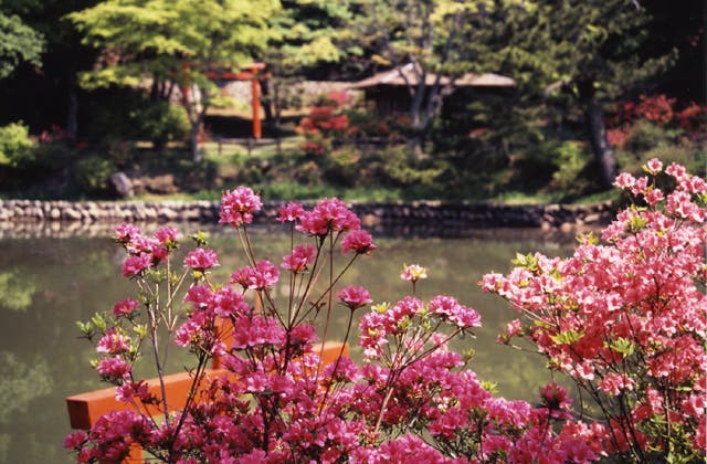 スポットの写真