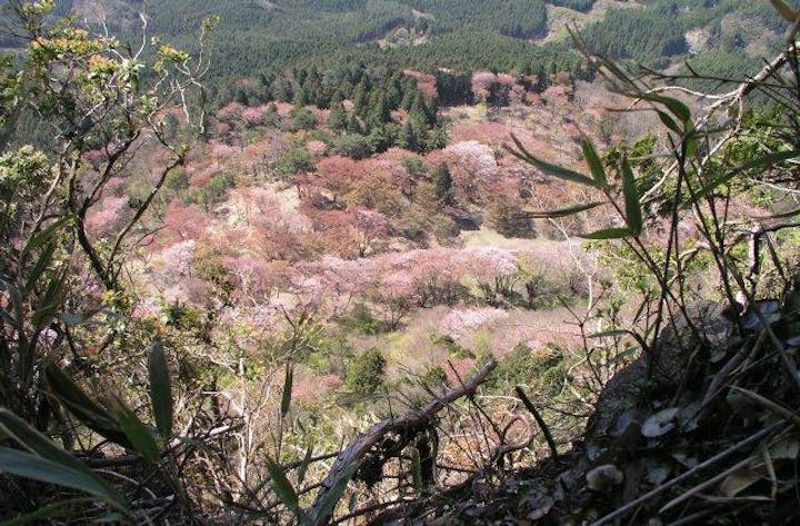 絶景展望登山コース
