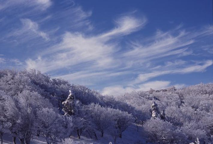 三峰山 霧氷まつり アソビュー 三峰山 霧氷まつり アソビュー