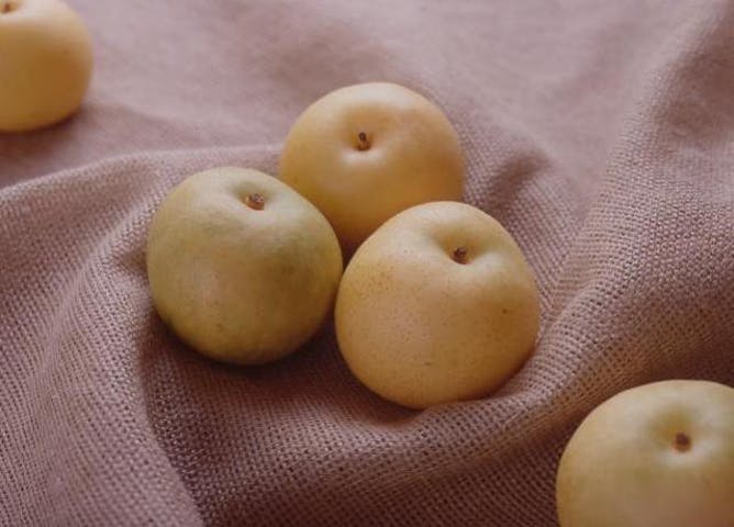 大阿太高原梨園