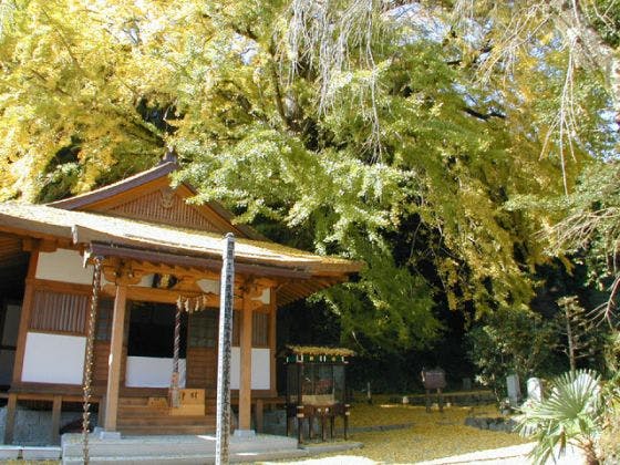 スポットの写真