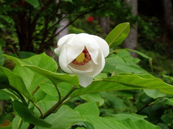 スポットの写真