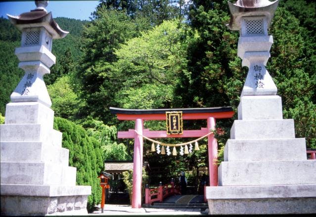 スポットの写真