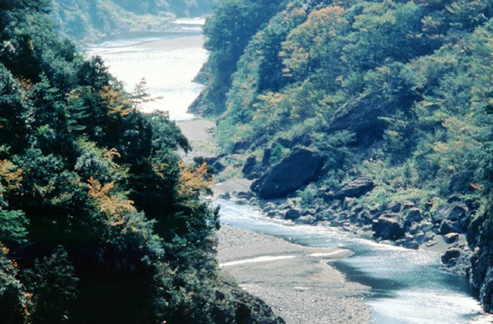 十津川水系