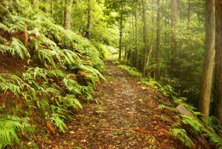 明神池周遊ハイキングコース