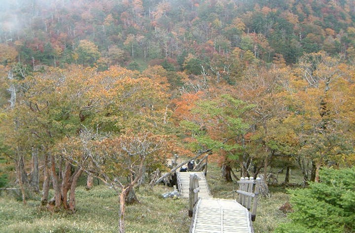 大台ヶ原の紅葉