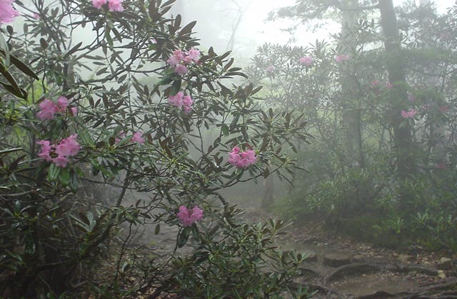 スポットの写真