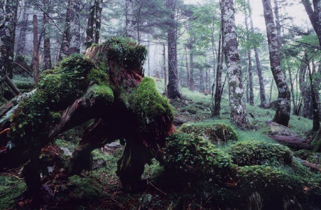 スポットの写真