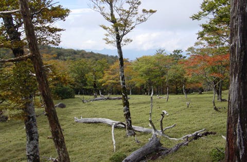 和佐又山キャンプ場 アソビュー