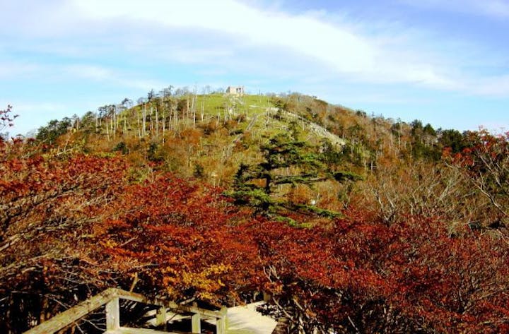 大台ヶ原ハイキングコース