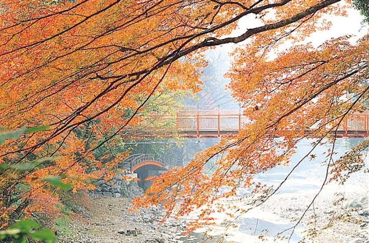 丹生川上神社付近の紅葉