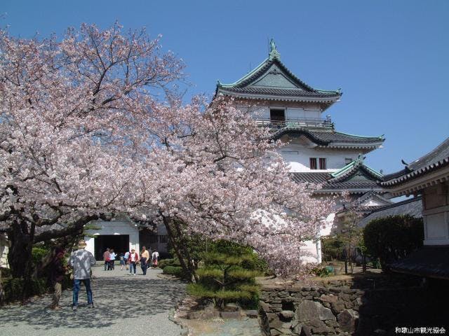 和歌山城の桜まつり