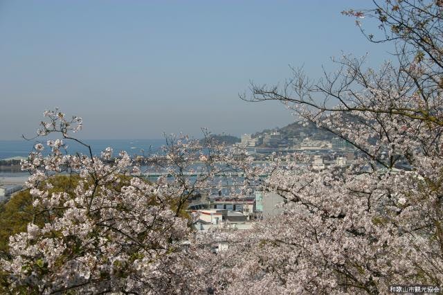 紀三井寺から和歌浦を望む