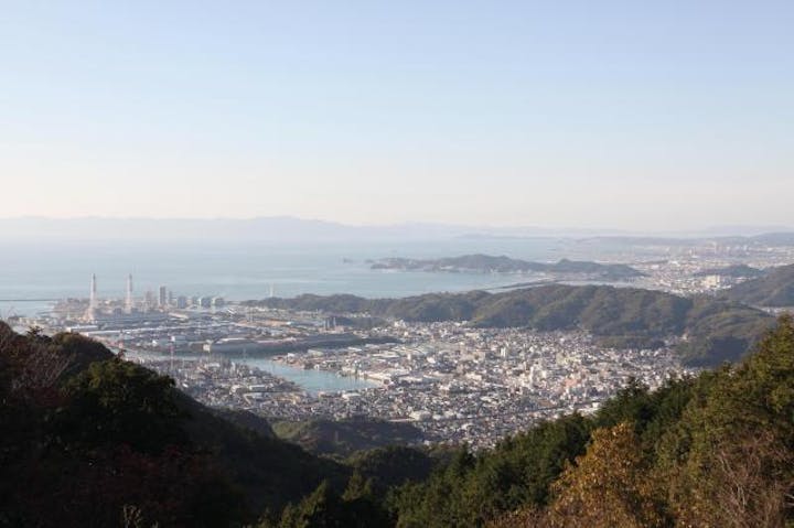 森林公園雨の森