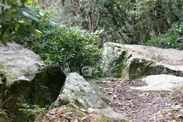 鏡石自然遊歩道コース