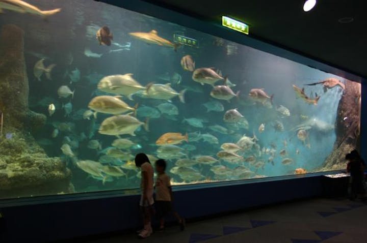 和歌山県立自然博物館
