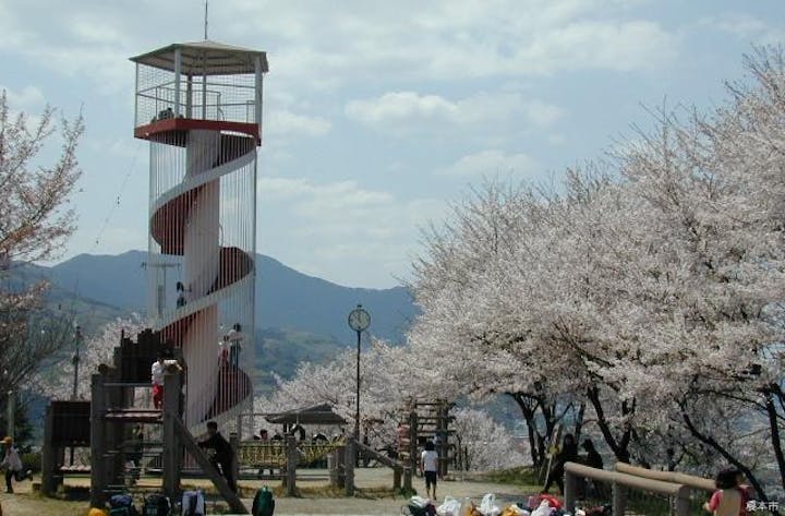 高野口公園 アソビュー