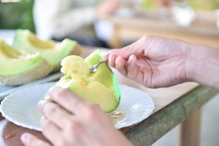 観光農園ひだかメロン園
