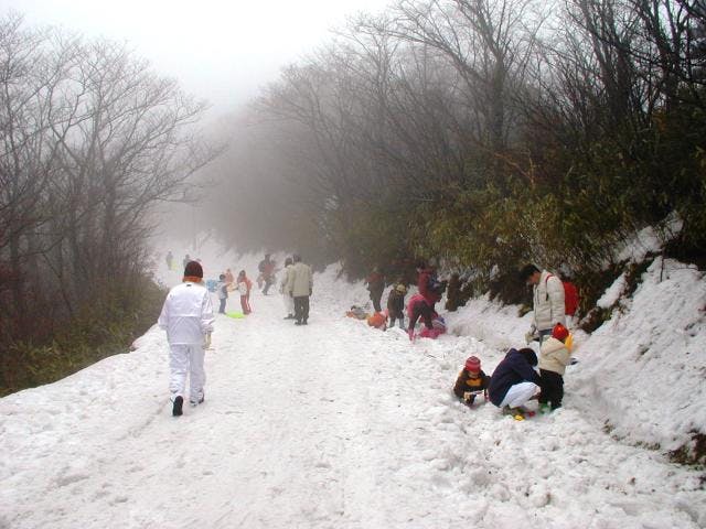 南国紀州の雪あそび