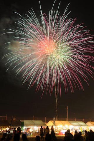 紀の川市民まつり（中止）