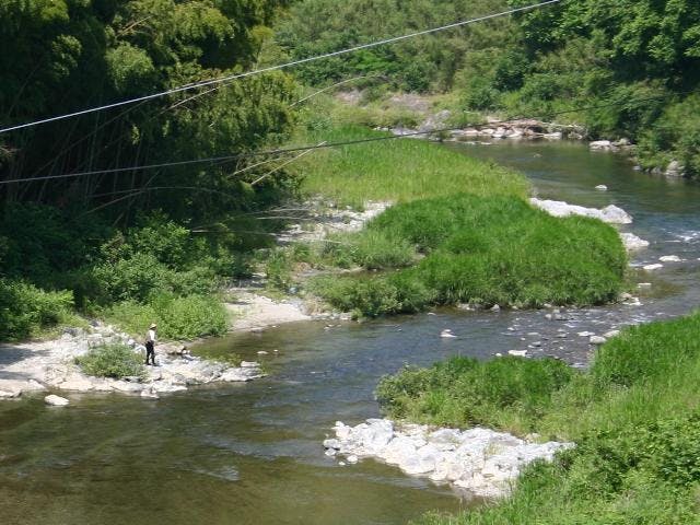 貴志川・真国川