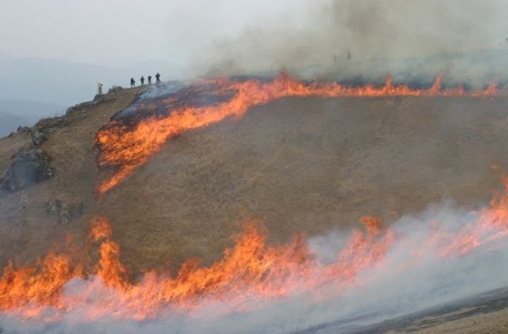 【2021年中止】生石高原山焼き