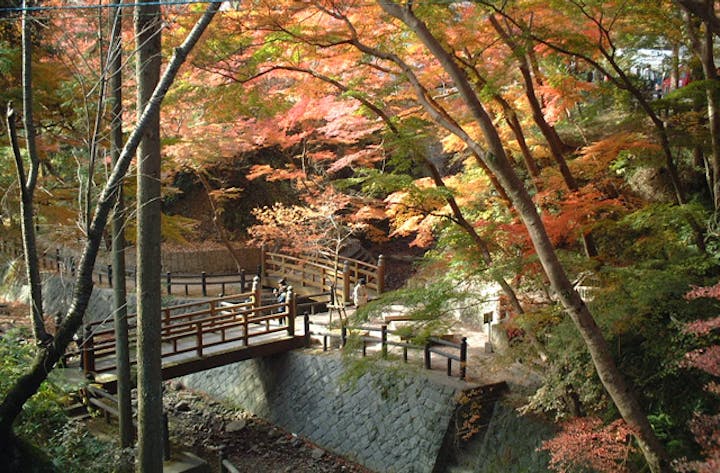 根來寺の紅葉
