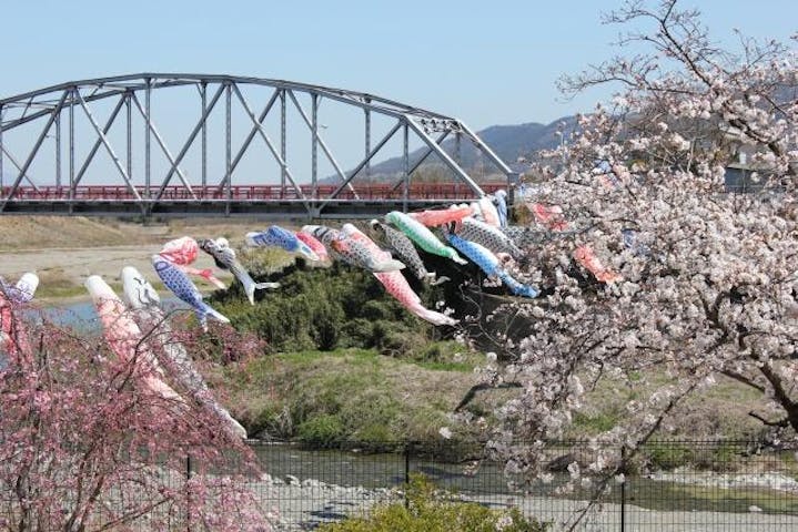 こいのぼりの丹生川渡し