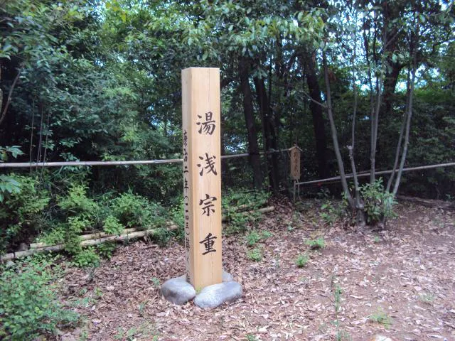 湯浅城跡 アソビュー