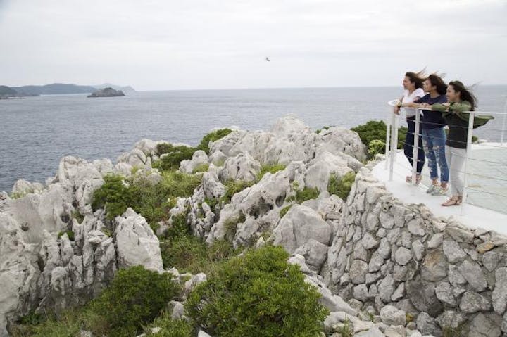 白崎海洋公園　展望台