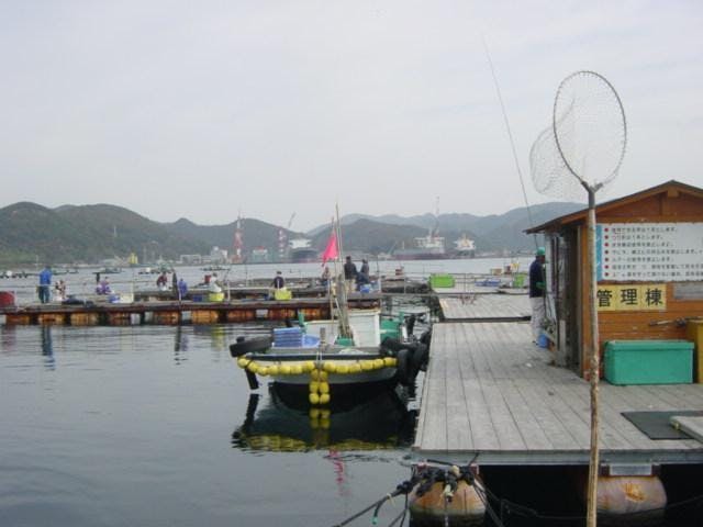 由良海つり公園