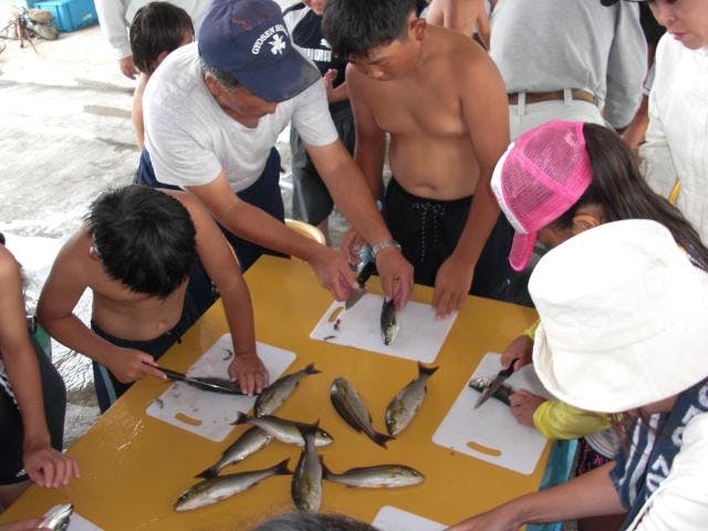 魚さばき体験