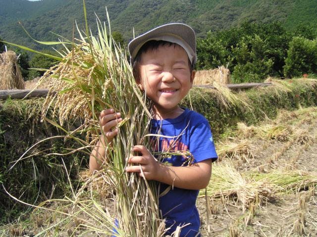 ゆめ倶楽部21(体験型観光)