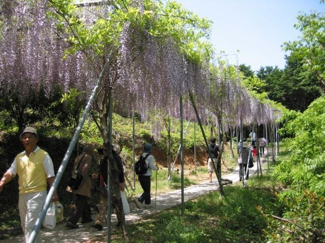 みやまの里森林公園