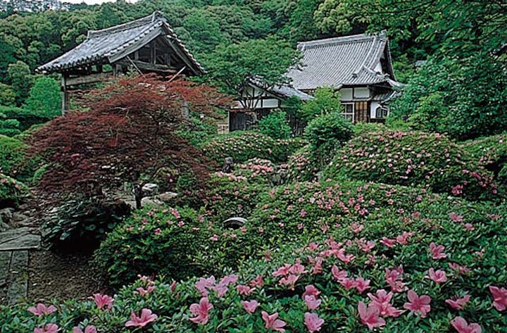 観音寺（さつき寺）