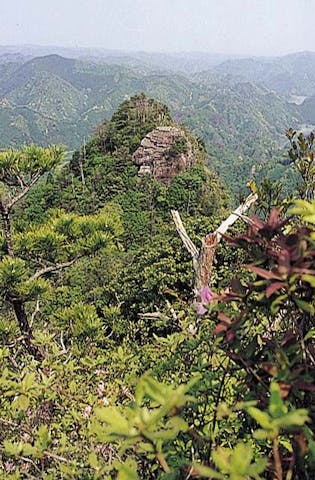 嶽の森山