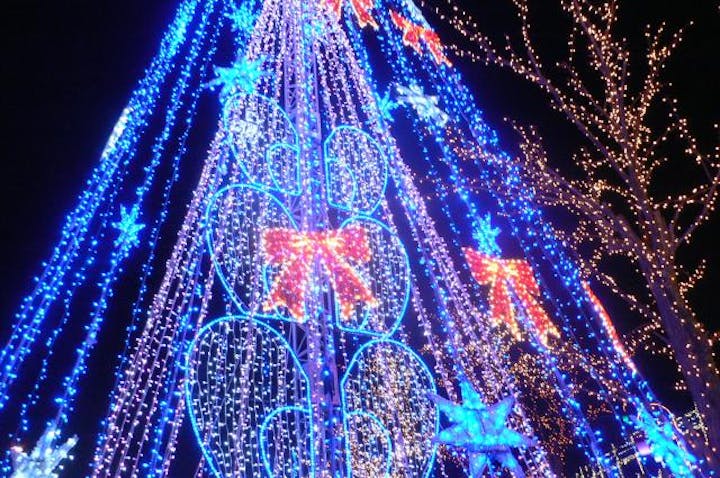 【2020年度開催中止】鳥取砂丘イリュージョン