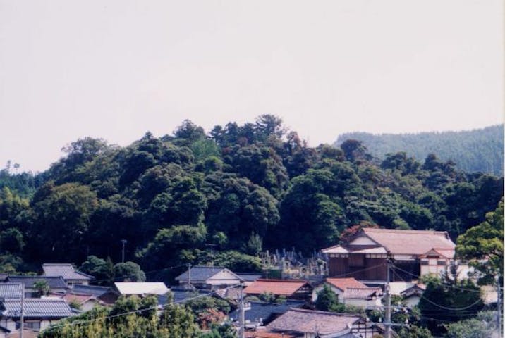 波波伎神社の社叢
