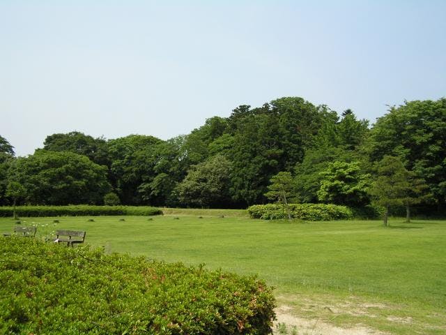 伯耆国府跡・国庁跡・法華寺畑遺跡・不入岡遺跡