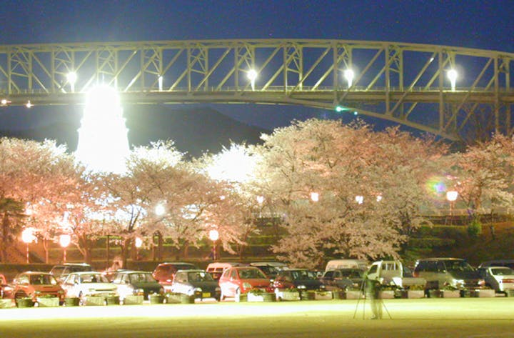 境台場公園桜まつり