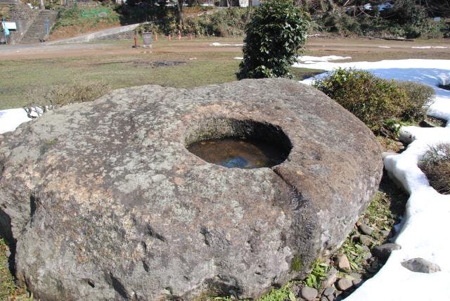 スポットの写真